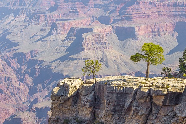 Ronny Behrendt, Grand Canyon view (Landschaft, Berge, Gebirge, Grand Canon, Graben, Amerika, Naturwunder, Fotografie, Landschaftsfotografie, Treppenhaus, Wohnzimmer, Wunschgröße, bunt)