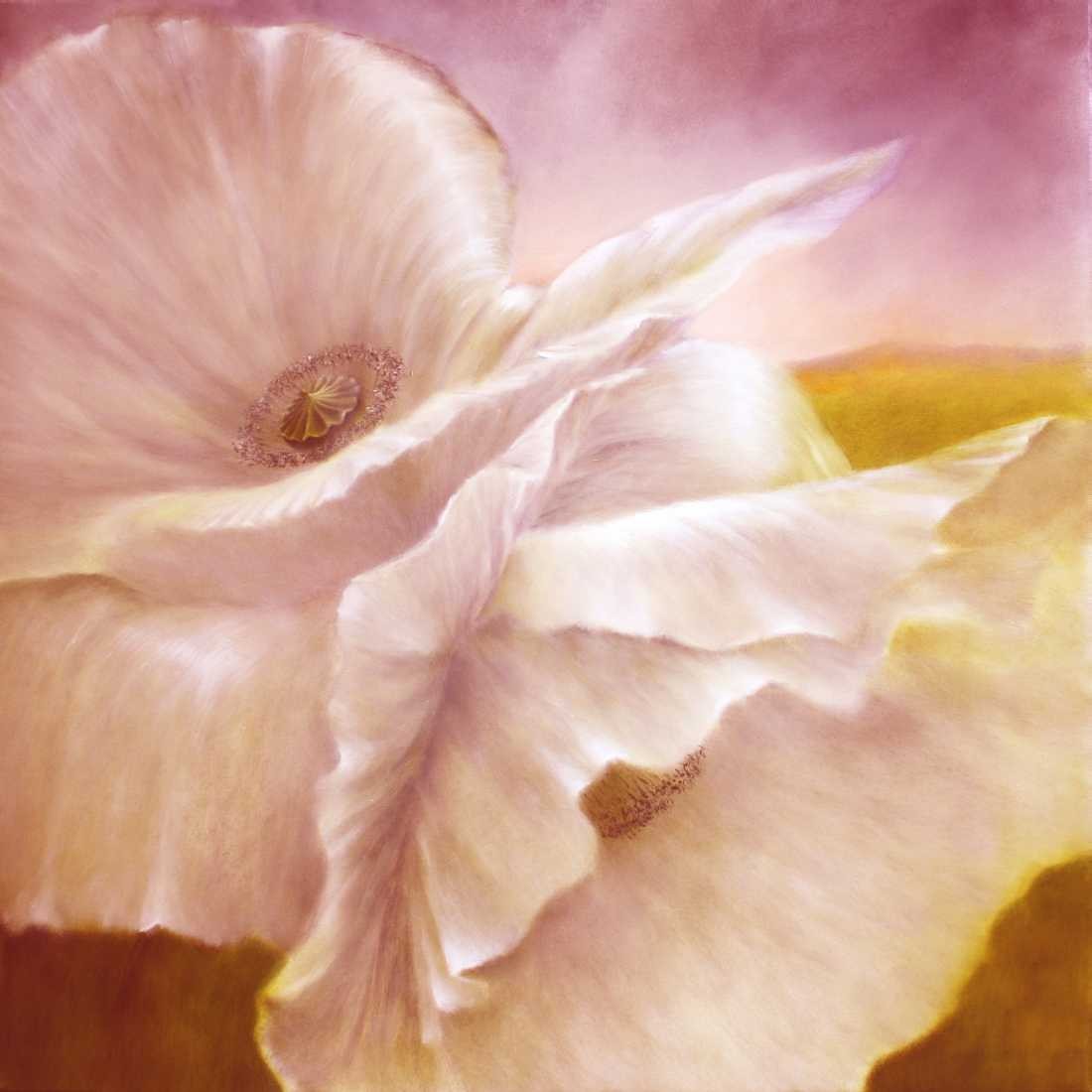 Konfiguration benutzen (Mohn, Mohnblüten, Blüten, Blumen, Pflanze, Blätter, zart, filigran, floral, leuchtend,  Malerei, Treppenhaus,  Wohnzimmer, Wunschgröße, weiß/rosa)