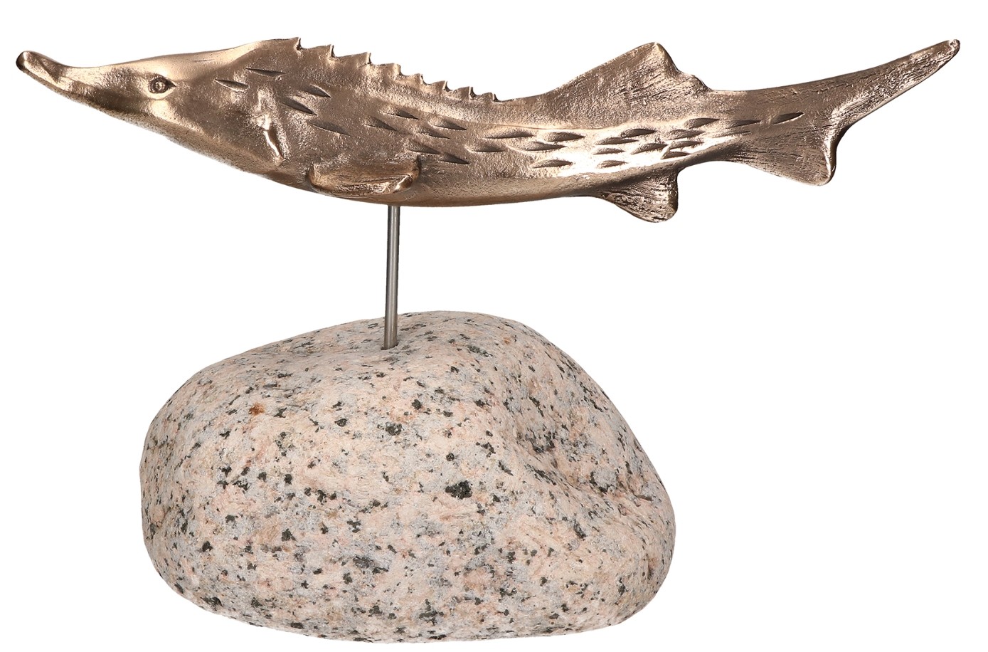 Ines Segger, Bronzefigur Stör auf Kieselstein, 25 x 35cm