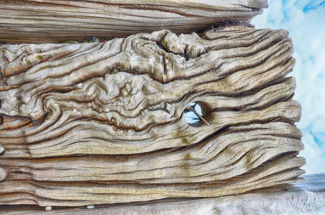 Irk Boockhoff, Verwittertes Holz am Strand 6 (Strand, Holz, Treibholz, verwittert, morbid,  maritim, Fotokunst, Treppenhaus, Wohnzimmer, Badezimmer, Wunschgröße, bunt)