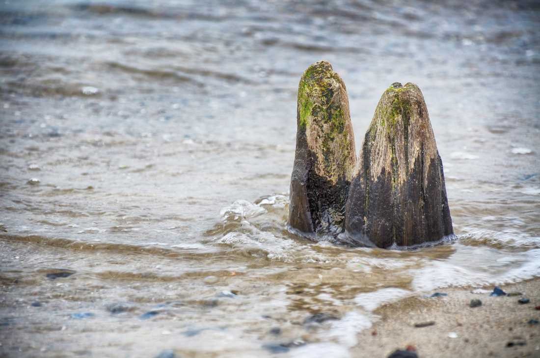 Irk Boockhoff, Verwittertes Holz am Strand 10 (Strand, Holz, Wasser, Sand, verwittert, morbid, Kiesel, Steinchen, maritim, Fotokunst, Treppenhaus, Wohnzimmer, Badezimmer, Wunschgröße, bunt)