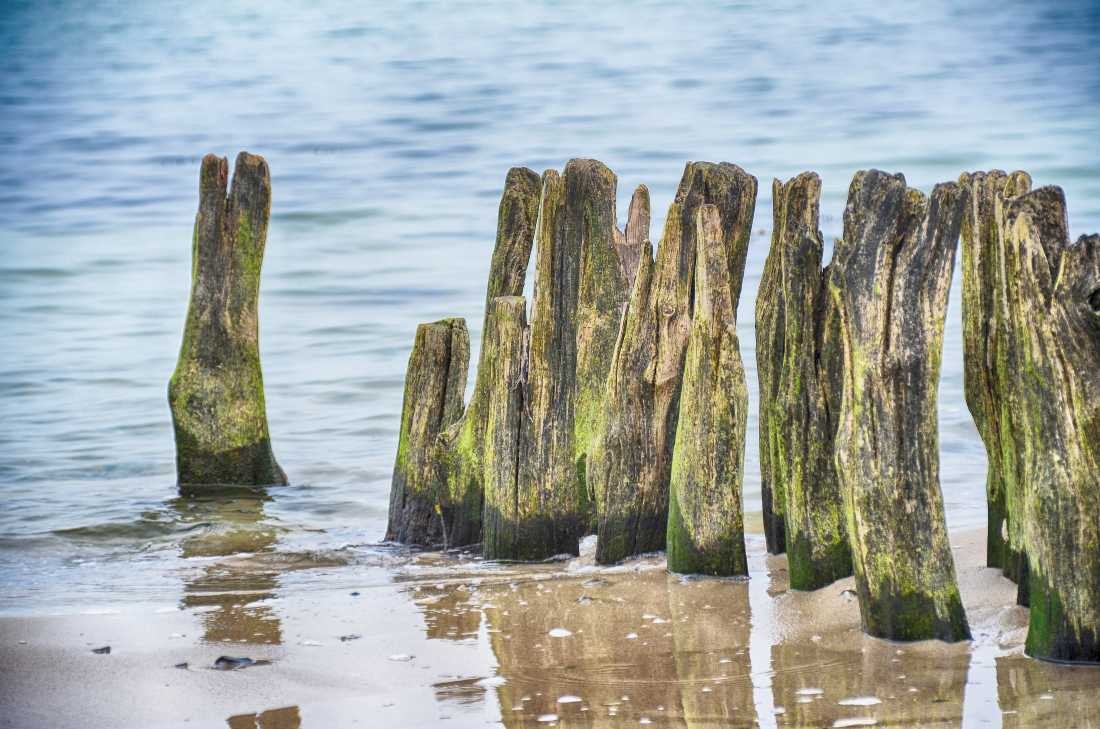 Irk Boockhoff, Verwittertes Holz am Strand 11 (Strand, Holz, Wasser, Sand, verwittert, morbid, , maritim, Fotokunst, Treppenhaus, Wohnzimmer, Badezimmer, Wunschgröße, bunt)