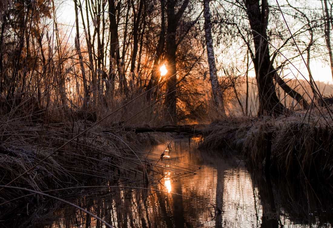 Conny Krakowski, Sie Stille am Abend (bach, fluss, Flusslauf, Flussbett, Wasserfall, strömung, Strom, sanft,Landschaft, Urgewalten, Fotografie)