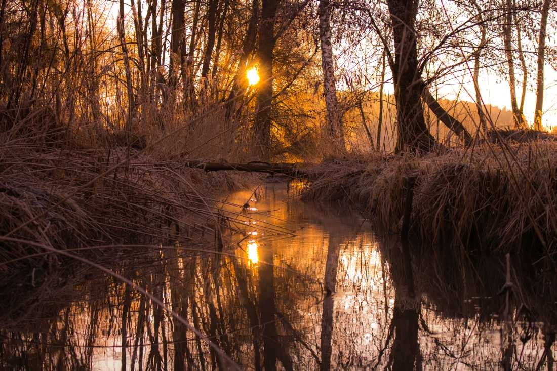 Conny Krakowski, Die Ruhe am Morgen (bach, fluss, Flusslauf, Flussbett, Wasserfall, strömung, Strom, sanft,Landschaft, Urgewalten, Fotografie)
