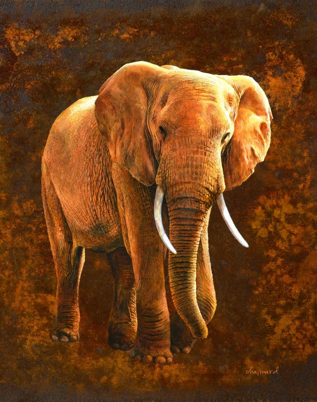 Jean-Marc Chamard, Elephant 01 (Elefant, Großwild, Afrika, Tier, Wohnzimmer, Treppenhaus, Malerei, Wunschgröße, bunt)