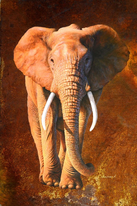 Jean-Marc Chamard, Elephant 02 (Elefant, Großwild, Afrika, Tier, Wohnzimmer, Treppenhaus, Malerei, Wunschgröße, bunt)