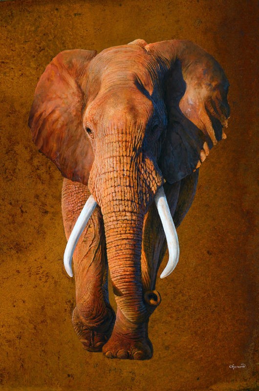 Jean-Marc Chamard, Elephant 03 (Elefant, Großwild, Afrika, Tier, Wohnzimmer, Treppenhaus, Malerei, Wunschgröße, bunt)