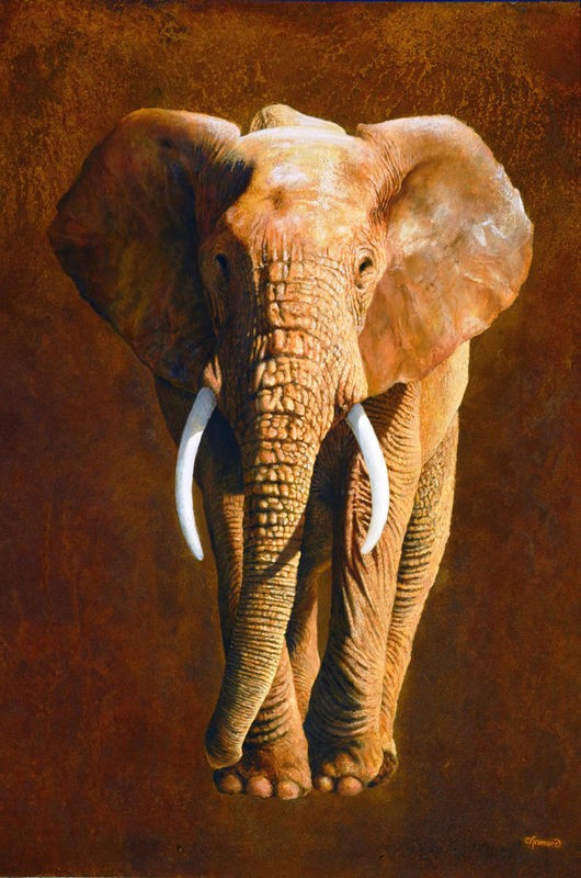 Jean-Marc Chamard, Elephant 04 (Elefant, Großwild, Afrika, Tier, Wohnzimmer, Treppenhaus, Malerei, Wunschgröße, bunt)