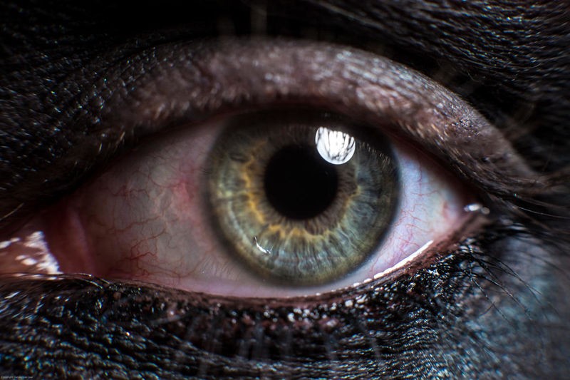 Sander Van Laar, Eye (Auge, Sehen, Blick, nahaufnahme, eindringlich, Fotokunst, Schlafzimmer, Wohnzimmer, Wunschgröße, bunt)