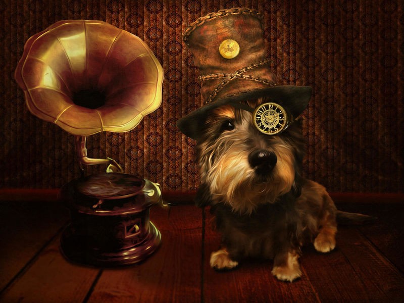Babette, Steampunk Dog (Dackel, Hund, Gramophon, steampunk, Punk, witzig, Jugendzimmer, Wohnzimmer, Musikzimmer, Wunschgröße, Digitalkunst, bunt)