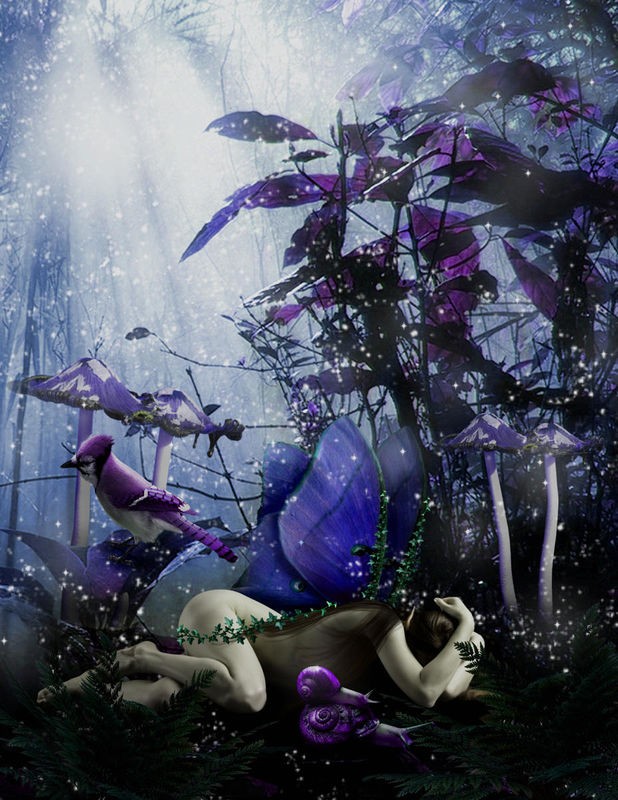 Babette, Fairy 39 (Elfe, Elfenflügel, Pilze, Paradiesvogel, Schnecken, Weinvergschnecken, Lichtpunkte, Sonnenstrahlen, Wald, Pilze, mystisch, Fantasy, Märchen, Traumwelt, Jugendzimmer, Schlafzimmer, Wohnzimmer, Treppenhaus, Wunschgröße, Digitalkunst, bunt)