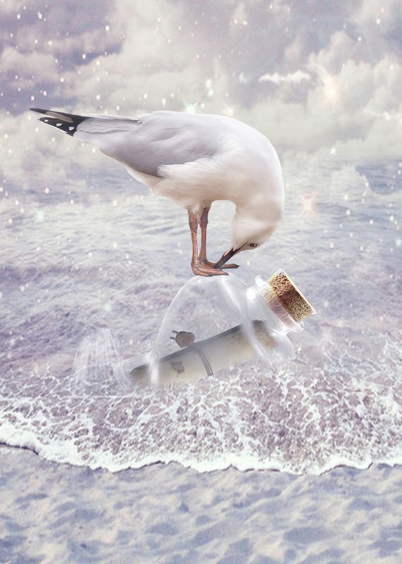 Babette, Bottle & Seagull (Möwe, Seevogel, Flaschenpost, Meer, Strand, Jugendzimmer, Badezimmer, Wohnzimmer, Treppenhaus, Wunschgröße, Digitalkunst, bunt)