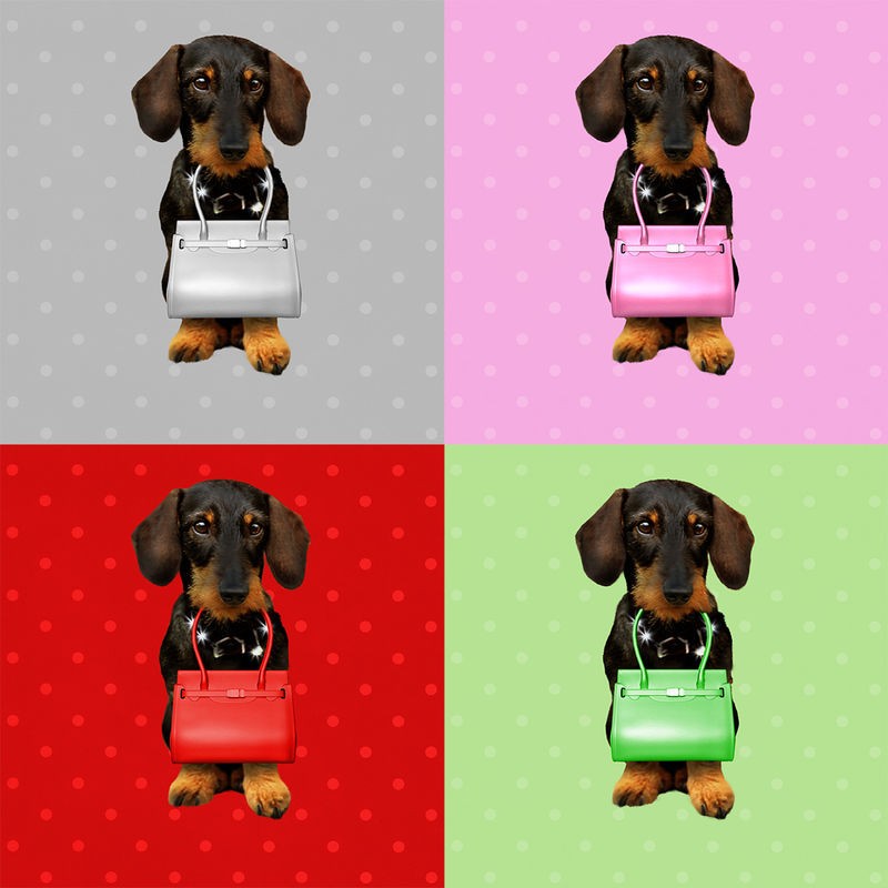 Babette, Teckel Board (Dackel, Hund, Dackelblick, Handtasche, Seriegrafie, Jugendzimmer, Wohnzimmer, Treppenhaus, Wunschgröße, Digitalkunst,rosa/silbergrau/rot/grün)