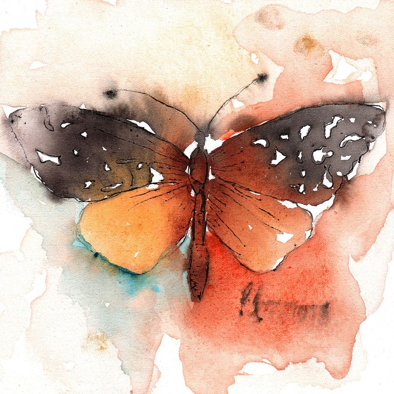 Leticia Herrera, Mariposa 3 (Schmetterling, Insekt, Aquarell, Malerei, modern, zeitgenössisch,   Wunschgröße, Wohnzimmer,  Treppenhaus, Wunschgröße, bunt)
