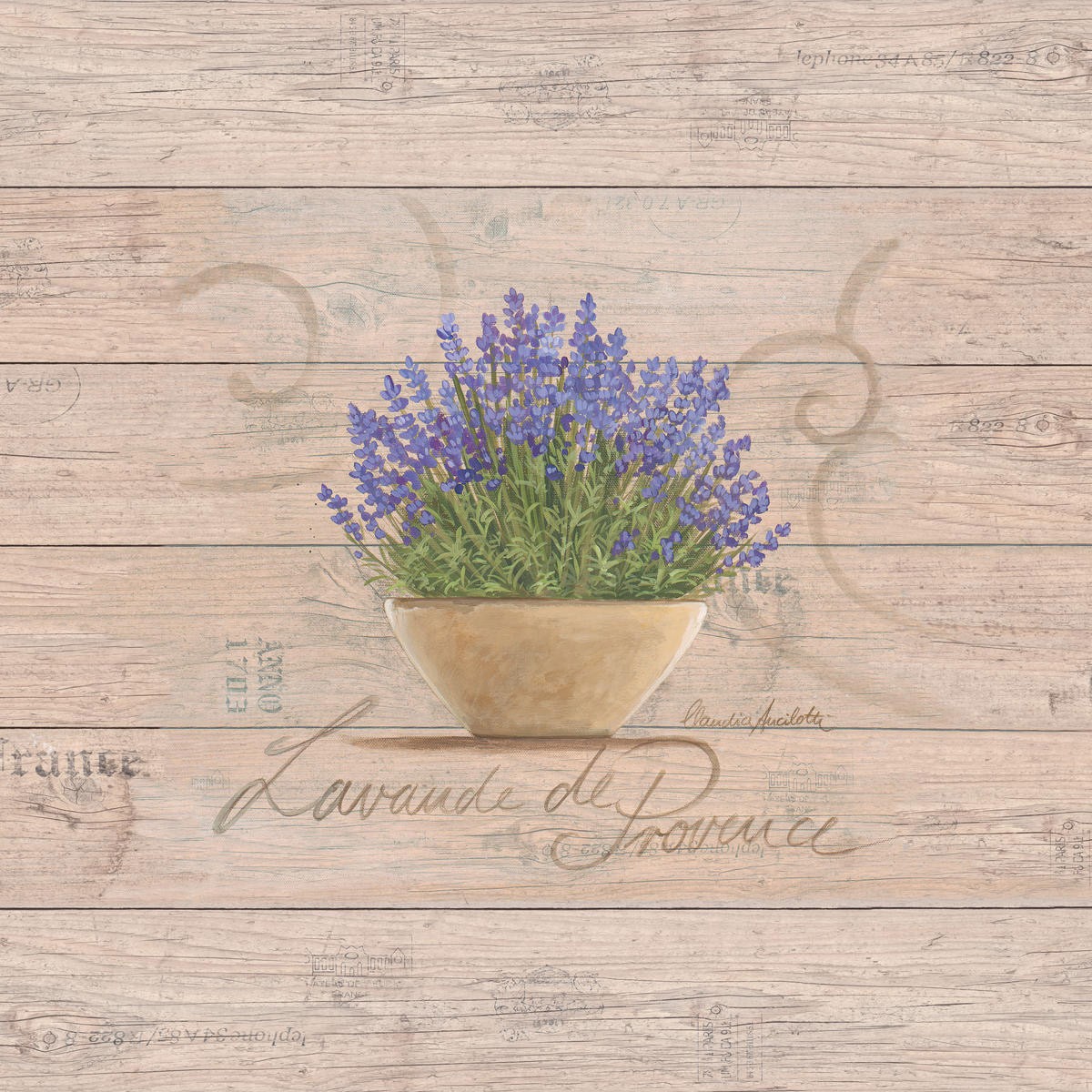 Claudia Ancilotti, Lavande de Provence