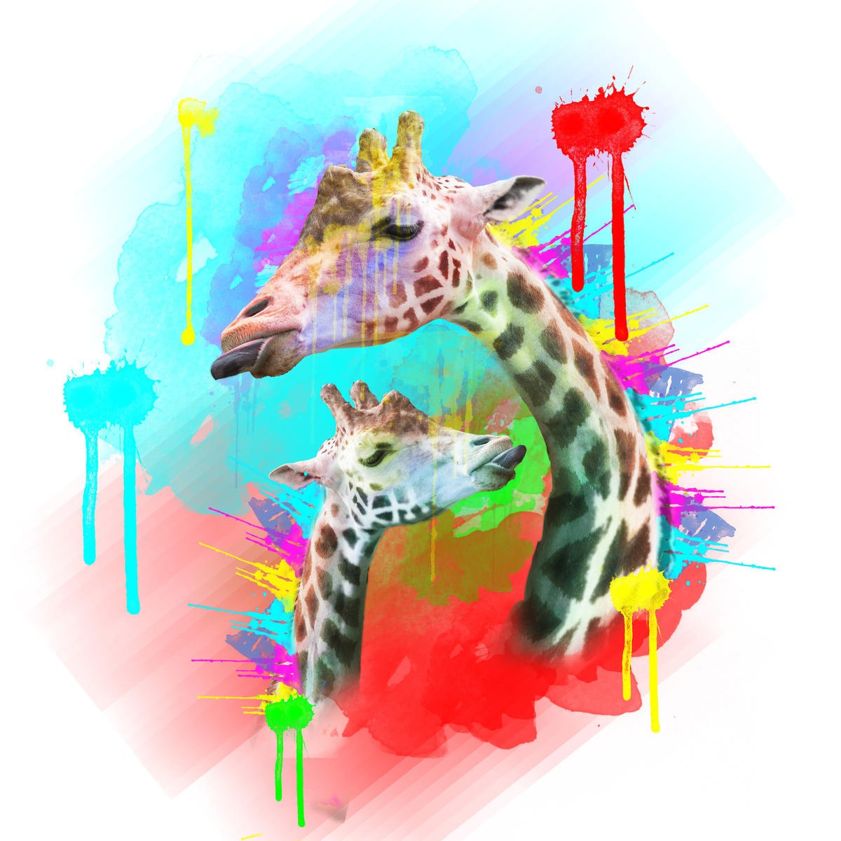 Sander Van Laar, Giraffe 1 (Giraffe, Zunge raus strecken, witzig, Tierportrait, Farbkleckse, Pop Art, modern, grell, schrill, neofarben, Fotokunst, Montage, Wohnzimmer, Jugendzimmer, bunt)