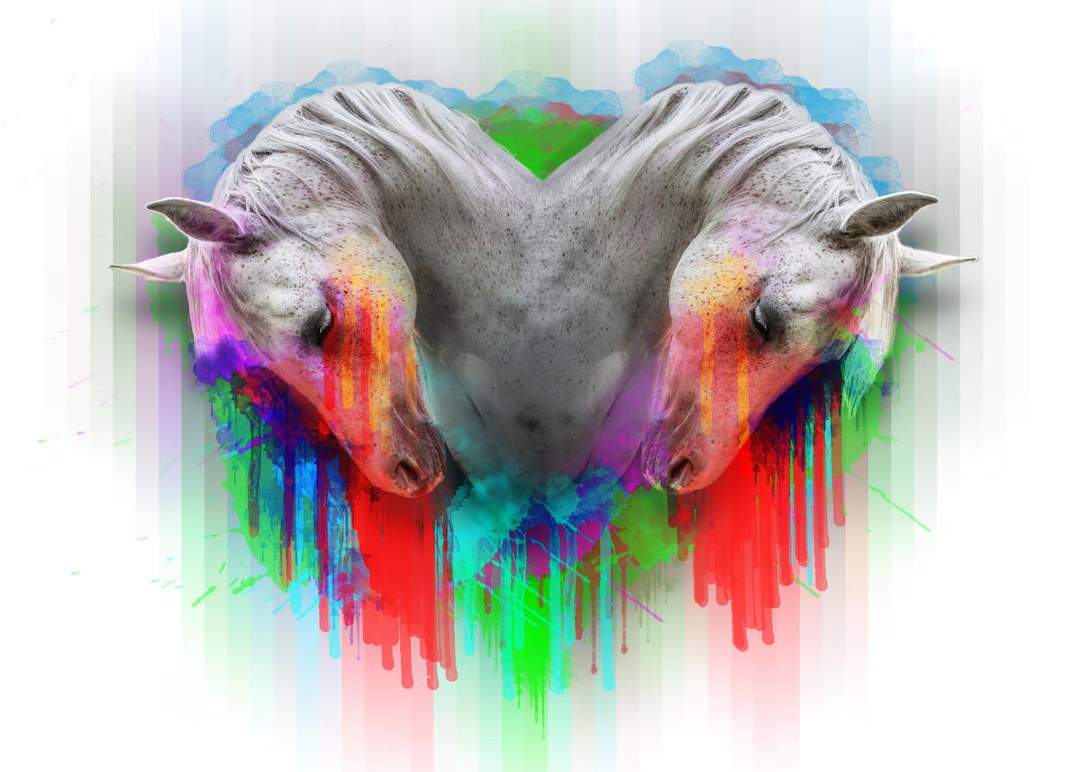 Sander Van Laar, Horses 2 (Pferde, Schimmel, Herz, Tierportrait, Farbkleckse, Pop Art, modern, grell, schrill, neofarben, Fotokunst, Montage, Wohnzimmer, Jugendzimmer, bunt)