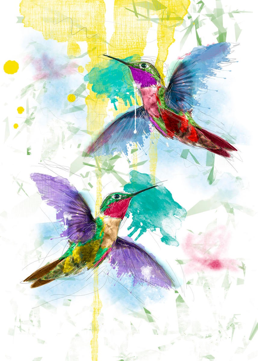 Sander Van Laar, Kolibri (Kolibris, Vögel, Farbkleckse, Pop Art, modern, grell, schrill, neofarben, Wohnzimmer, Jugendzimmer, Wunschgröße, bunt)