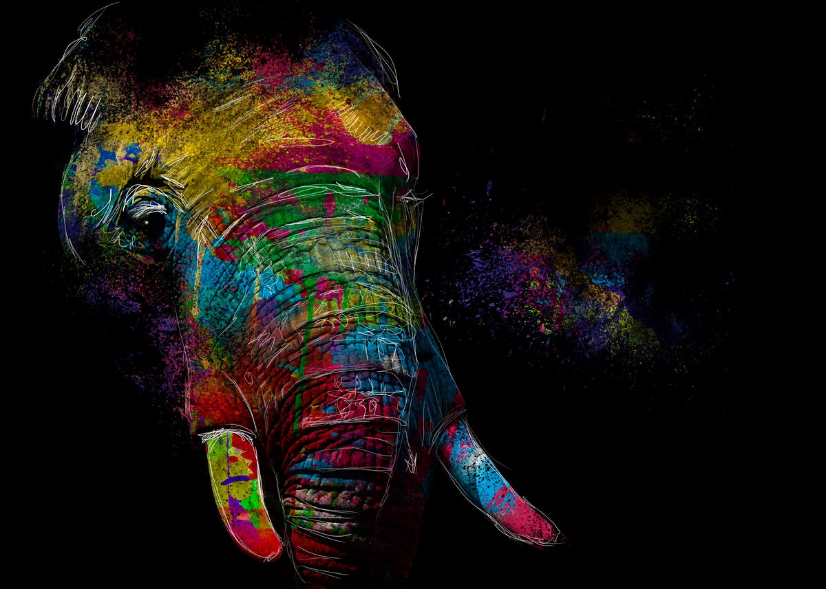 Sander Van Laar, Elephant (Elefant, Stoßzähne, Großwild, Nahaufnahme, Tierportrait, Farbkleckse, Pop Art, modern, grell, schrill, neofarben, Fotokunst, Montage, Wohnzimmer, Jugendzimmer, Wunschgröße, bunt)