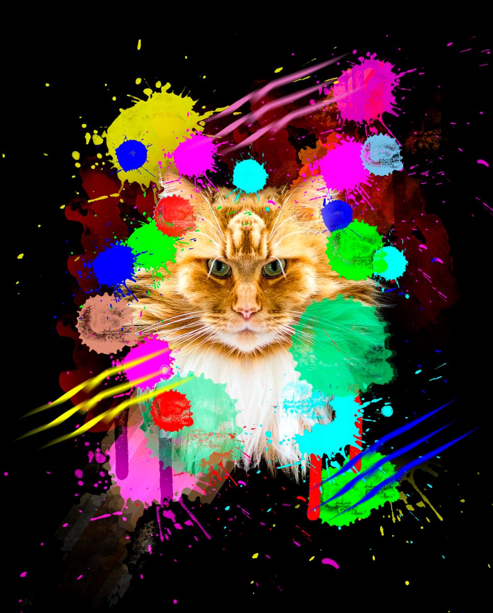 Sander Van Laar, Cat (Katze, Haustier, Tier, Kratzspuren, Tierportrait, Farbkleckse, Pop Art, modern, grell, schrill, neofarben, Fotokunst, Montage, Wohnzimmer, Jugendzimmer, Wunschgröße, bunt)