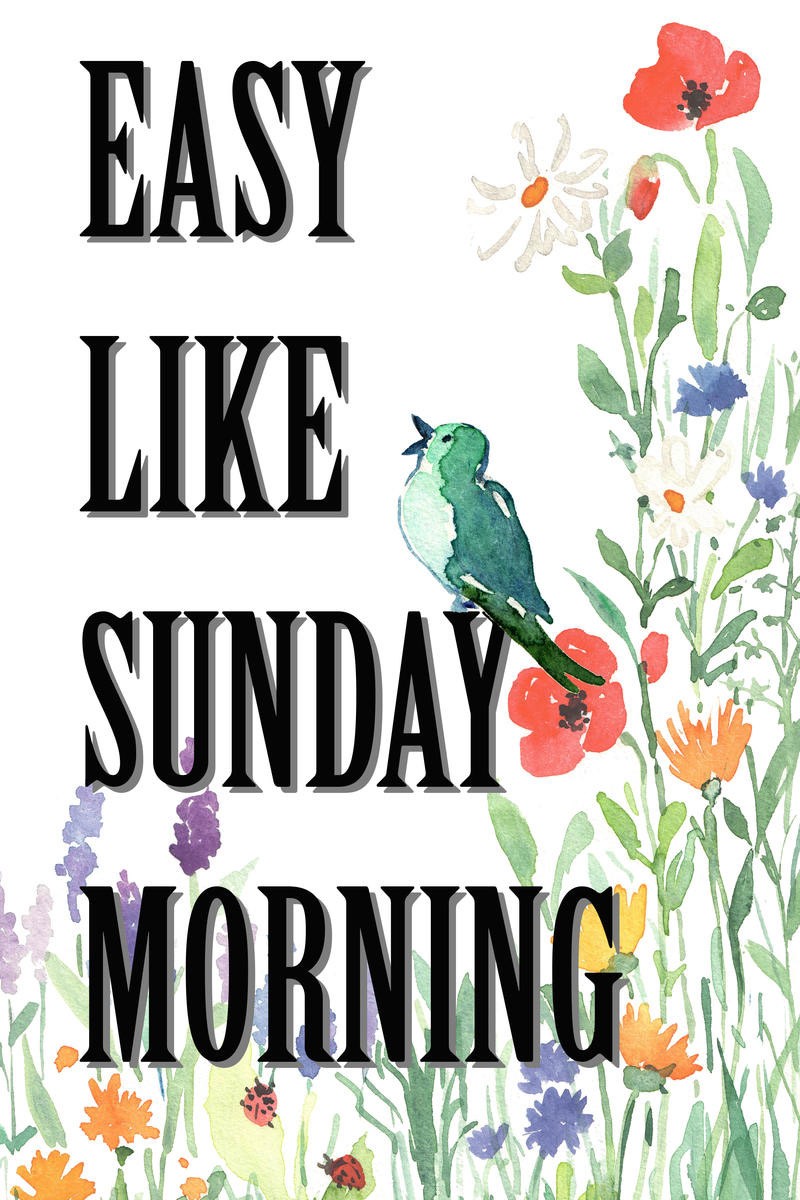 Renate Holzner, Easy like Sunday Morning 1 (Typografie, Spruch, Zitat, Sommerblume, Vogel, zwitschern, Lionell Richie, Motivation, Grafik, Wunschgröße, Schlafzimmer, Treppenhaus, bunt)