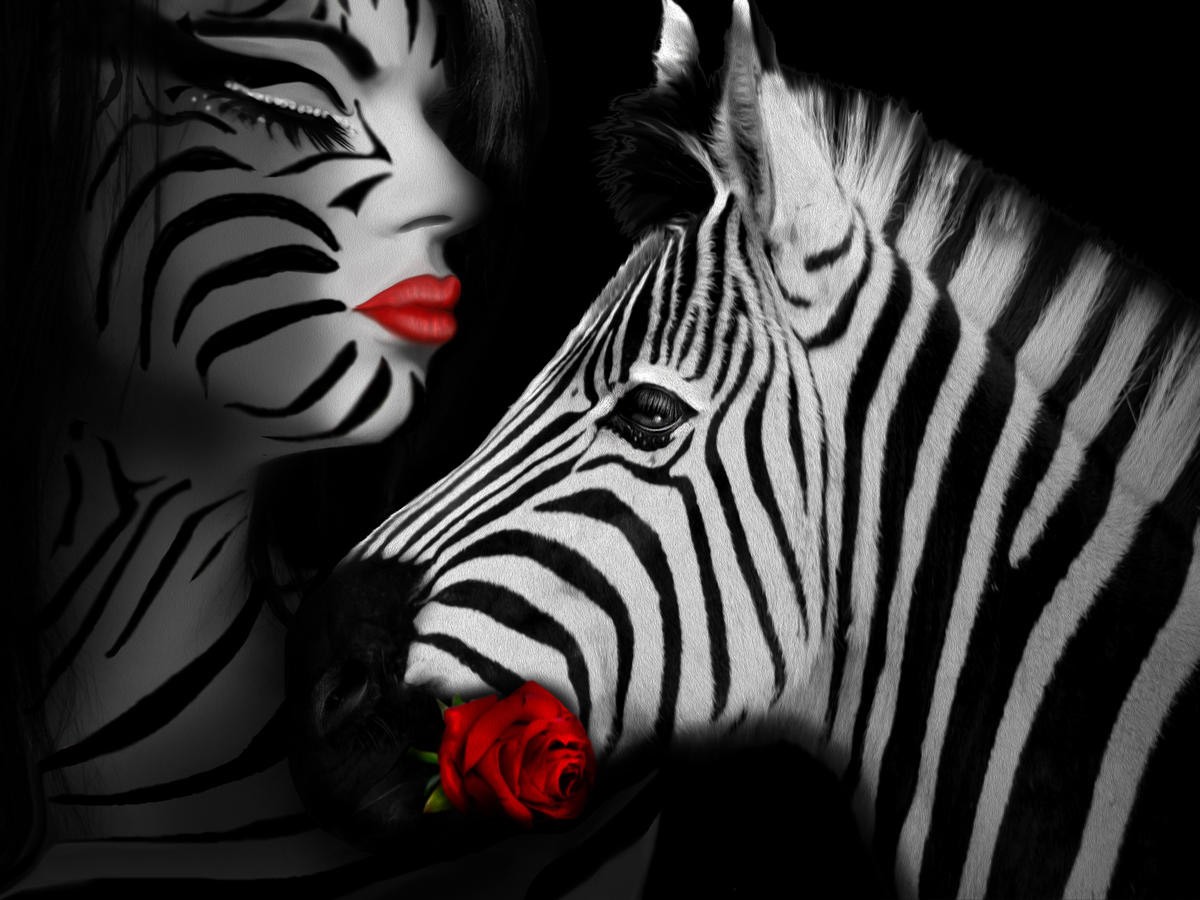 Babette, Zebra Love (Zebra, Zebrastreifen, Bodypainting, rote Rose, Liebe,  Traumwelt, Jugendzimmer, Wohnzimmer, Treppenhaus, Wunschgröße, Digitalkunst, bunt)