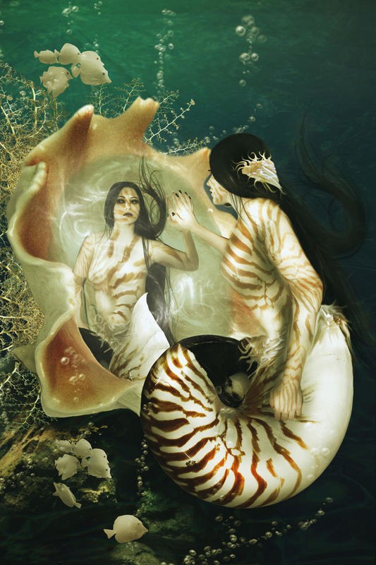 Babette, Nautilus (Nixe, Wassernixe, Nautilus,  Muschelschwanz, Magie, mystisch, Fantasy, Märchen, Traumwelt, Jugendzimmer, Schlafzimmer, Wohnzimmer, Treppenhaus, Wunschgröße, Digitalkunst, grün)