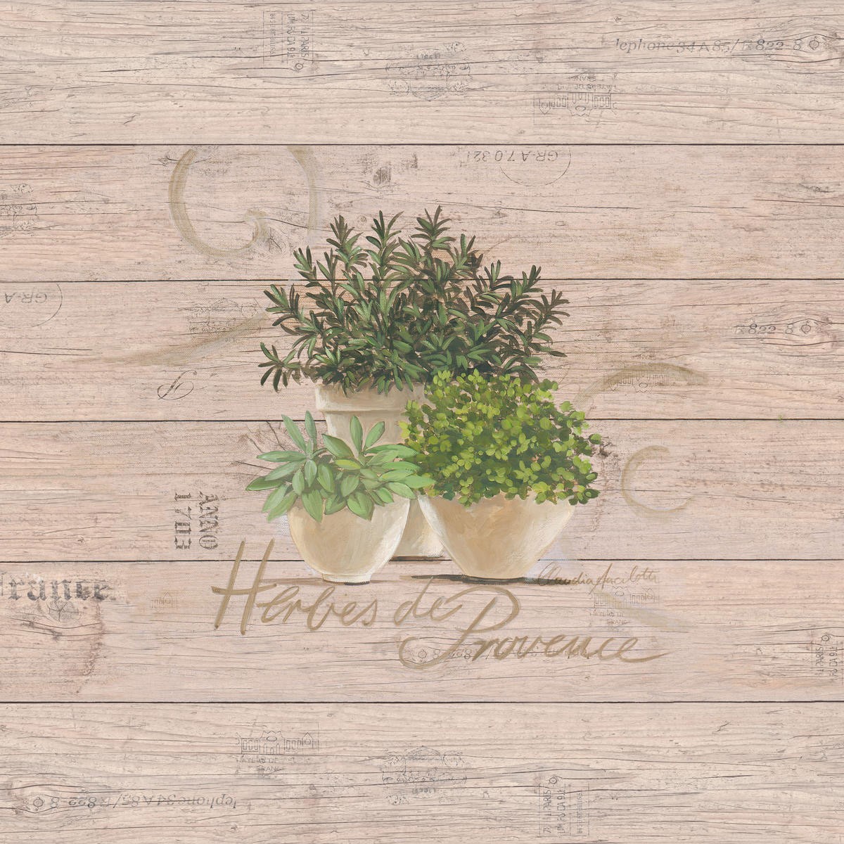 Claudia Ancilotti, Herbes de Provence