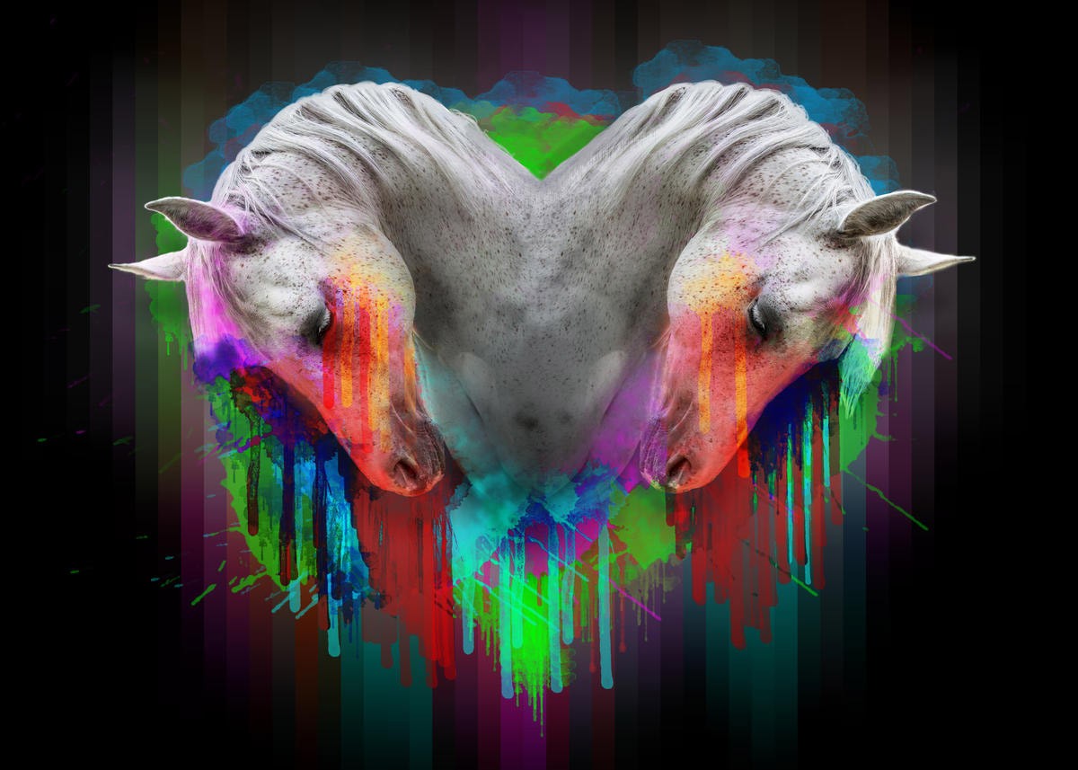 Sander Van Laar, Horses 1 (Pferde, Schimmel, Herz, Tierportrait, Farbkleckse, Pop Art, modern, grell, schrill, neofarben, Fotokunst, Montage, Wohnzimmer, Jugendzimmer, bunt)