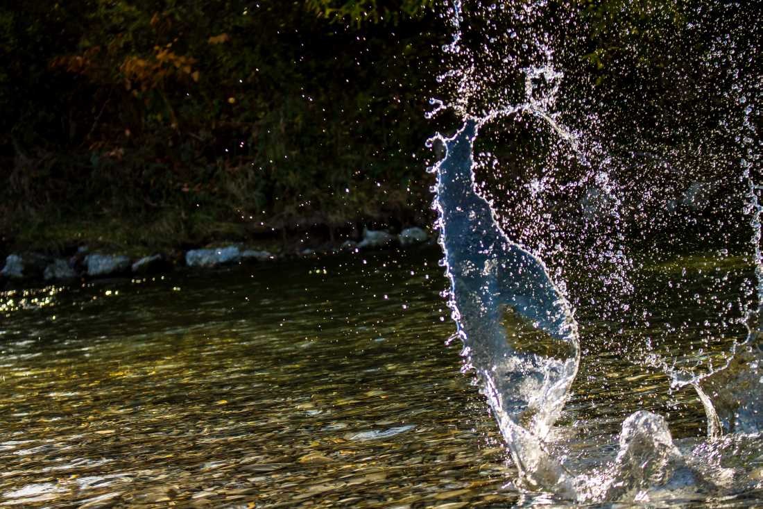Conny Krakowski, Eigedrungen (bach, fluss, Flusslauf, Flussbett, Wasserfall, strömung, Strom, sanft,Landschaft, Urgewalten, Fotografie)
