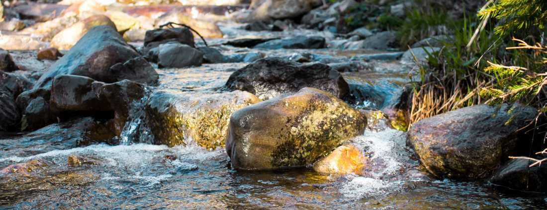 Conny Krakowski, Wildbach (bach, fluss, Flusslauf, Flussbett, Wasserfall, strömung, Strom, sanft, Landschaft, Urgewalten, Fotografie)