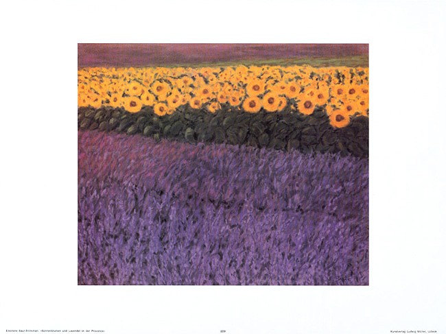 Eleonore Baur-Brinkman, Sonnenblumen 2230 (Lavendelfeld, Sonnenblumenfeld, Farbenpracht, Landschaft, Blütenpracht,  Wohnzimmer, Arztpraxis, Treppenhaus, Malerei, zeitgenössich, bunt)