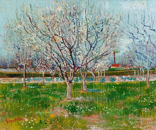 Vincent van Gogh, Blühender Obstgarten. 1888 (Frühling, Bäume, Obstbäume, Blüten, Garten, Klassische Moderne, Impressionismus, Wohnzimmer, Treppenhaus, Wunschgröße, bunt)