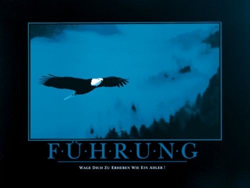 Motivation, Führung (Herausforderung, Überzeugung, Motivation, Inspiration,  Seeadler,  Erfolg, Büro, Fotokunst, bunt)