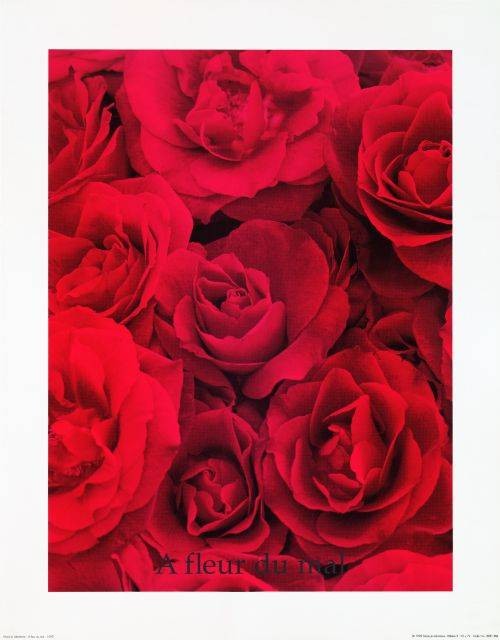 Lafontaine M.J. A Fleur du mal (1999) (Siebdruck) (Rosen, Rosenblüten, Blütenblätter, Rosenstrauss,  Blumen, üppig, Fotokunst, Grafik, Druck, Wohnzimmer, Treppenhaus, Schlafzimmer, rot)