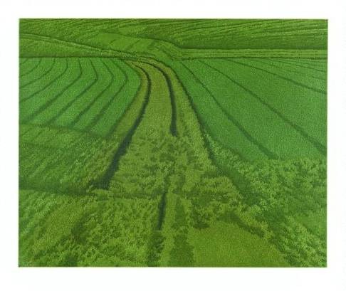Rausch Michael Nach Hinten (1994) (Radierung, handsigniert) (Landschaft, Feld, Getreide, Kornfeld, Landwirschaft,  Grafik, modern, Original, signiert, Treppenhaus, Wohnzimmer, grün)