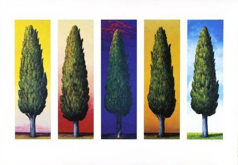 Rasch Folkert 5 Zypressen (1999) (Lithographie, handsigniert) (Bäume, Zypressen, mediterran,  Grafik, Treppenhaus, Wohnzimmer, Arztpraxis, Original, signiert, bunt)