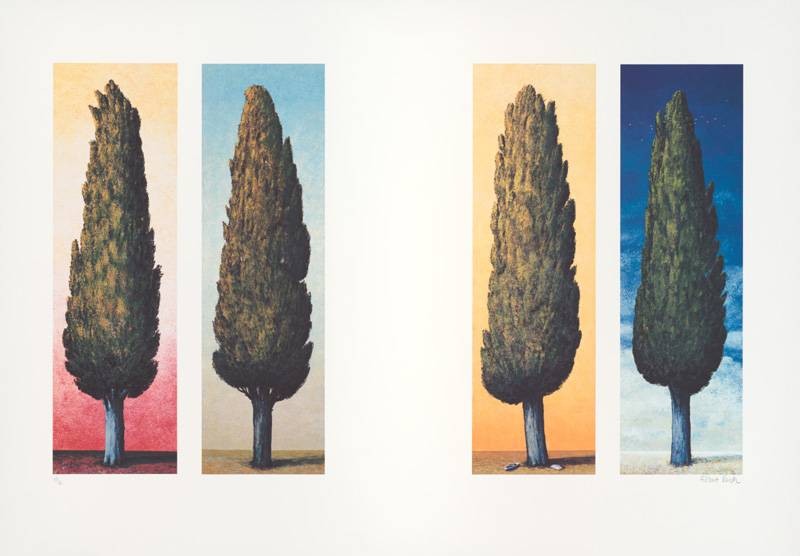 Rasch Folkert 4 Zypressen (1999) (Lithographie, handsigniert) (Bäume, Zypressen, mediterran, Grafik, Treppenhaus, Wohnzimmer, Arztpraxis, Original, signiert, bunt)