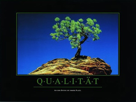 Motivation, Qualität (Qualität, Überzeugung, Zuverlässig, Motivation, Inspiration, Baum, Gipfel, Erfolg, Büro, Fotokunst, bunt)