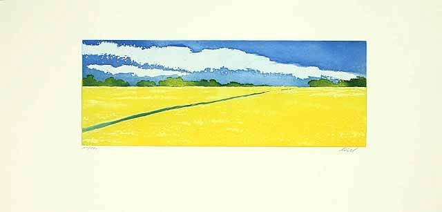 Fiset Henryk Rapsfeld (2001) (Radierung, handsigniert) (Landschaft, Sommer, Landwirtschaft, Rapsfeld, Weite, Original, Grafik, signiert, Treppenhaus, Wohnzimmer)