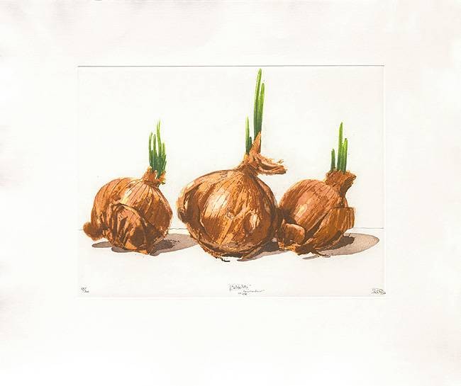 Rore Robert Zwiebeltrio (2000) (Radierung, handsigniert) (Gemüse, Zwiebeln, Zwiebelschalen, Triebe, Grafik, Original, signiert, Esszimmer, Wohnzimmer, Küche)