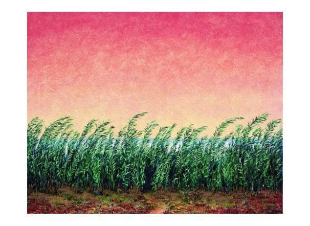 Rasch Folkert Schilfgras (2001) (Digitaldruck, handsigniert, nummeriert) (Gras, Schilf, See, Natur, Grafik, modern, Original, signiert, Wohnzimmer, Esszimmer, bunt)