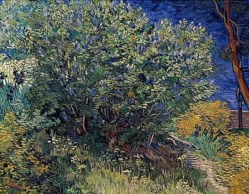 Vincent van Gogh, Flieder. 1889 (Gogh,Vincent van,1853-1890,St. Petersburg,Eremitage,Öl auf Leinwand,19. Jahrhundert,Gogh, Vincent van Gogh,Busch,Fliederbusch,Strauch,Post-Impressionismus,Garten,blühen,Pflanzen,Blätter,blau,grün,Duktus,Pinselstrich,Pinselstriche,lebendig,kraftvoll,vibrie)