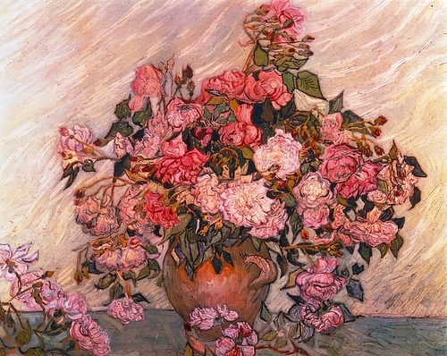 Rosa vans mit rosen top
