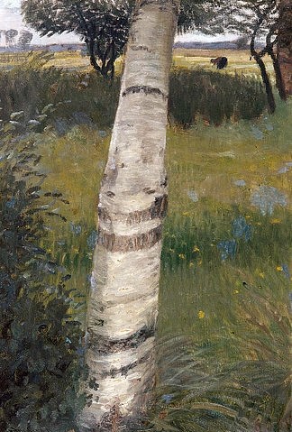 Otto Modersohn, Birke in blühender Landschaft. 1903. (Norddeutschland, Baum, Felder, Baumstamm, Birke, Rinde, Landschaft, Landschaftsmalerei,  Künstlerkolonie Worpswede, Klassische Moderne,   Wohnzimmer, Treppenhaus, Wunschgröße)