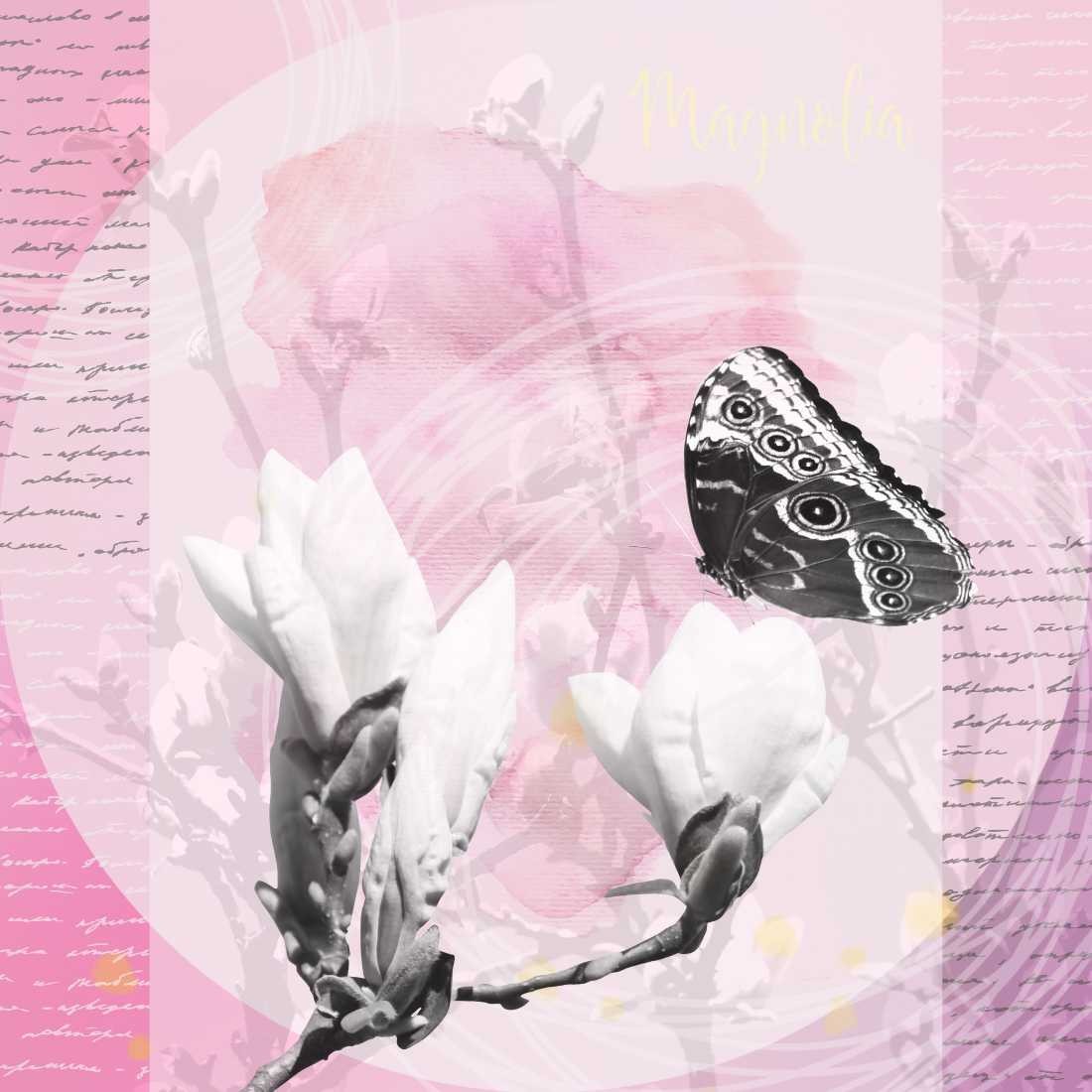 Konfiguration benutzen (Blütenzweig, Zweig,Magnolie, Schmetterling, Kalligrafie, Fotokunst, Wunschgröße,  Treppenhaus, Wohnzimmer, schwarz/weiß, rose)