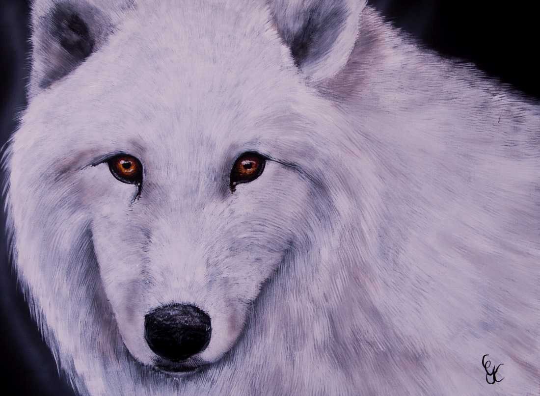 Conny Krakowski, Der weiße Wolf (Surrealismus, Traum, Magie, Esoterik, Baum, Traumbaum,Lebensbaum,Geburt,Leben,Sterben,Wege, Lebensweg, Phantasie,Fantasie,Realismus,Malerei,Gemläde,detaiiert,Traumbild,Traumlandschaft,Landschaftsmalerei,Träumerei,Wasserfall,Berge,Wolken,)