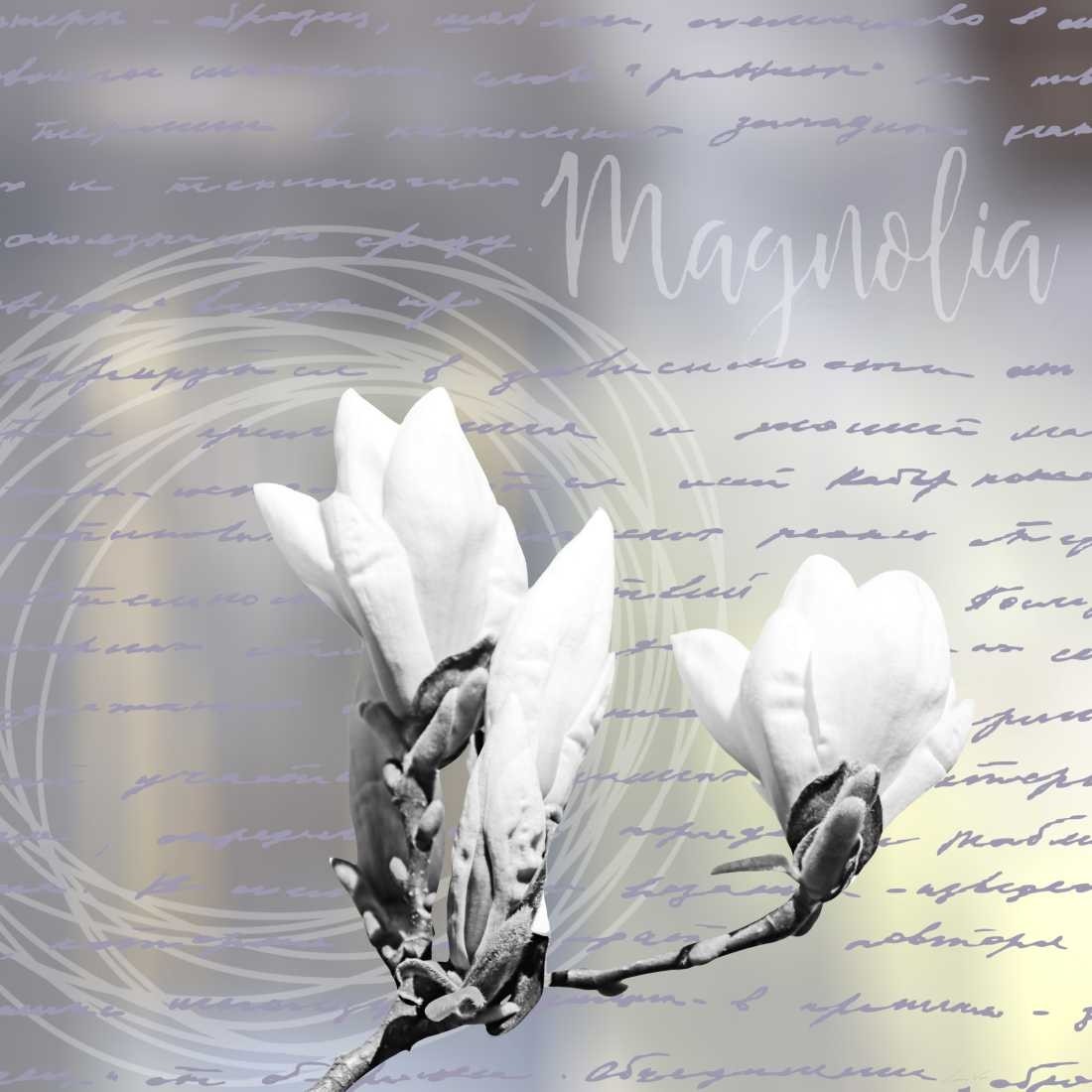 Carmen Varo, Magnolia (Blütenzweig, Zweig, Magnolie, Kalligrafie, Fotokunst, Wunschgröße,  Treppenhaus, Wohnzimmer, schwarz/weiß, gelb)