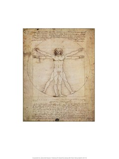 Leonardo da Vinci, Schema Delle Proporzioni (Offset) (vitruvianischer Mensch, Proportionen, Zeichnung, Klassiker, Schlafzimmer, Wohnzimmer, Malerei, sepia)
