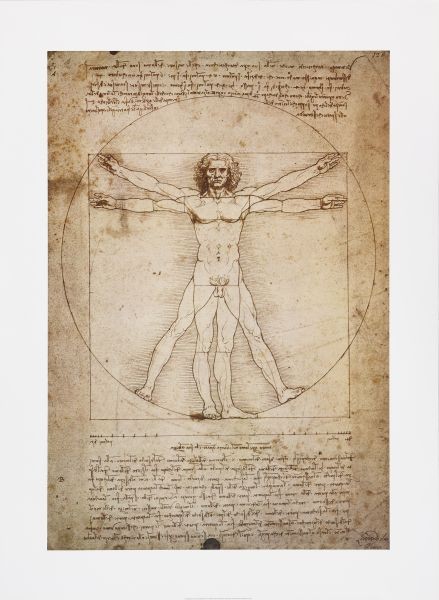 Leonardo da Vinci, Schema Delle Proporzioni (Offset) (vitruvianischer Mensch, Proportionen, Zeichnung, Klassiker, Schlafzimmer, Wohnzimmer, Malerei, sepia)